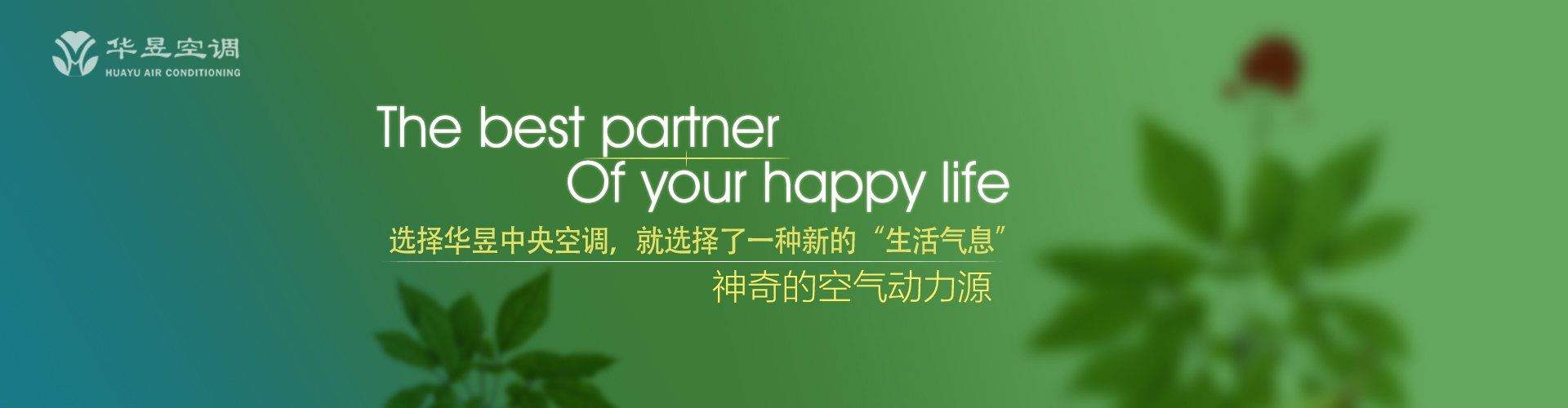 白头偕老网